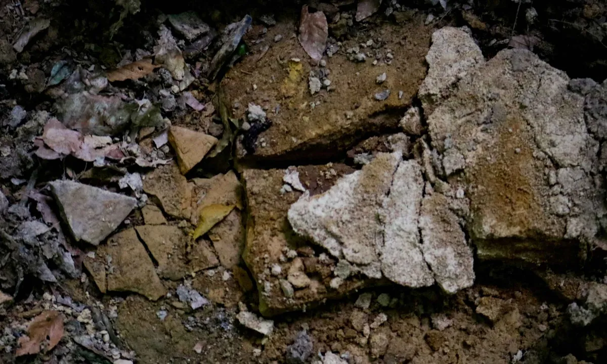 Fortschritte bei der Lithiumsuche: Fleet Space Technologies bringt Bewegung in die Exploration